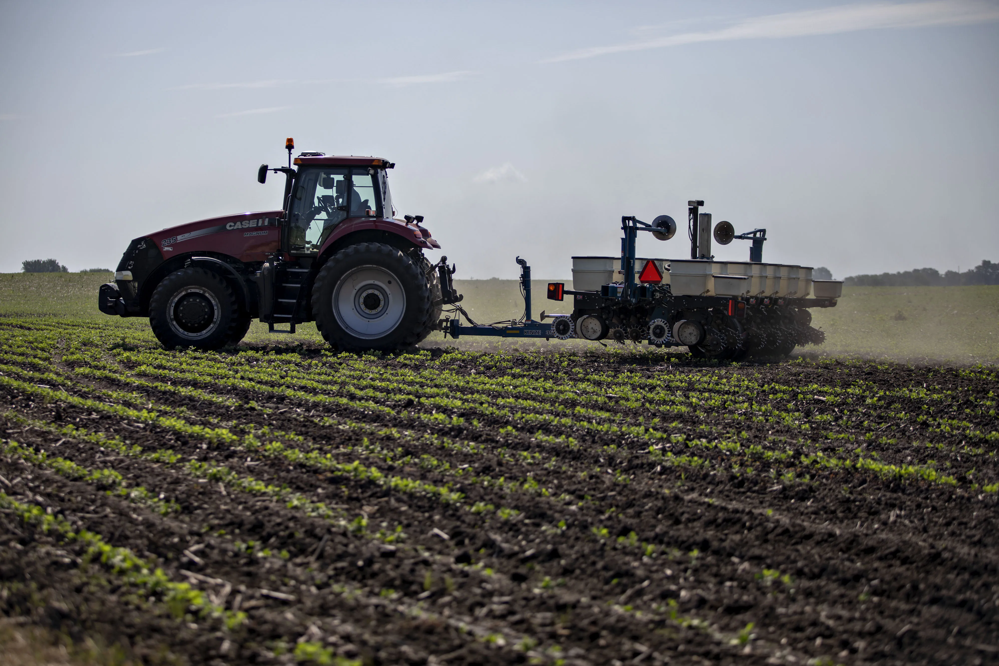 Corn And Soy Fields Ahead Of USDA WASDE Report 