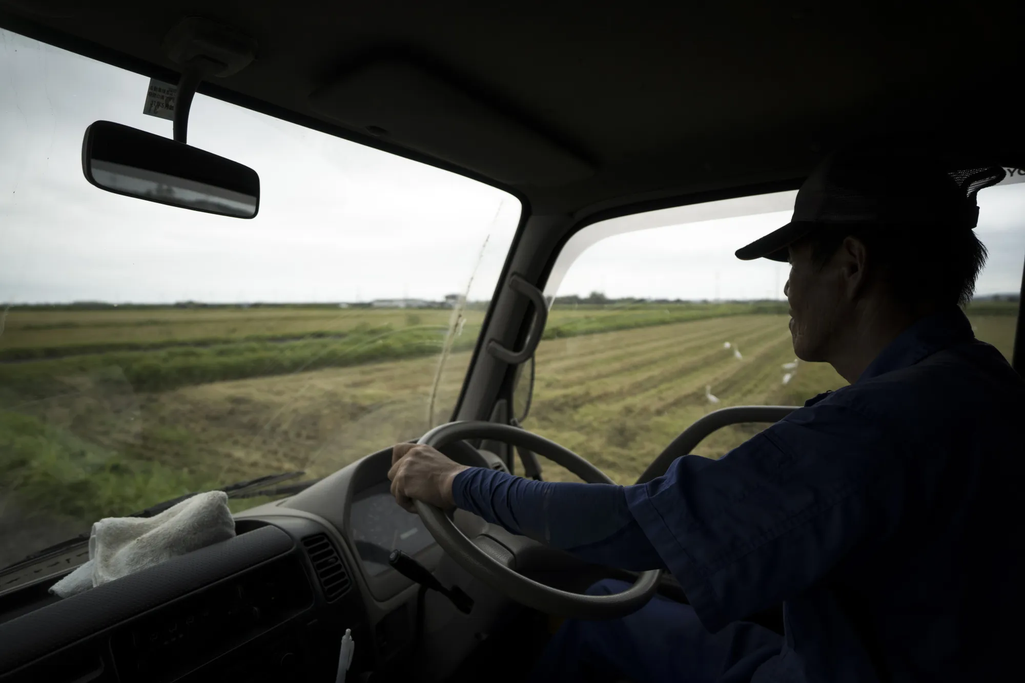 Rice Harvesting As Japan Seeks to Raise 19% In 2019-20 Farm Budget