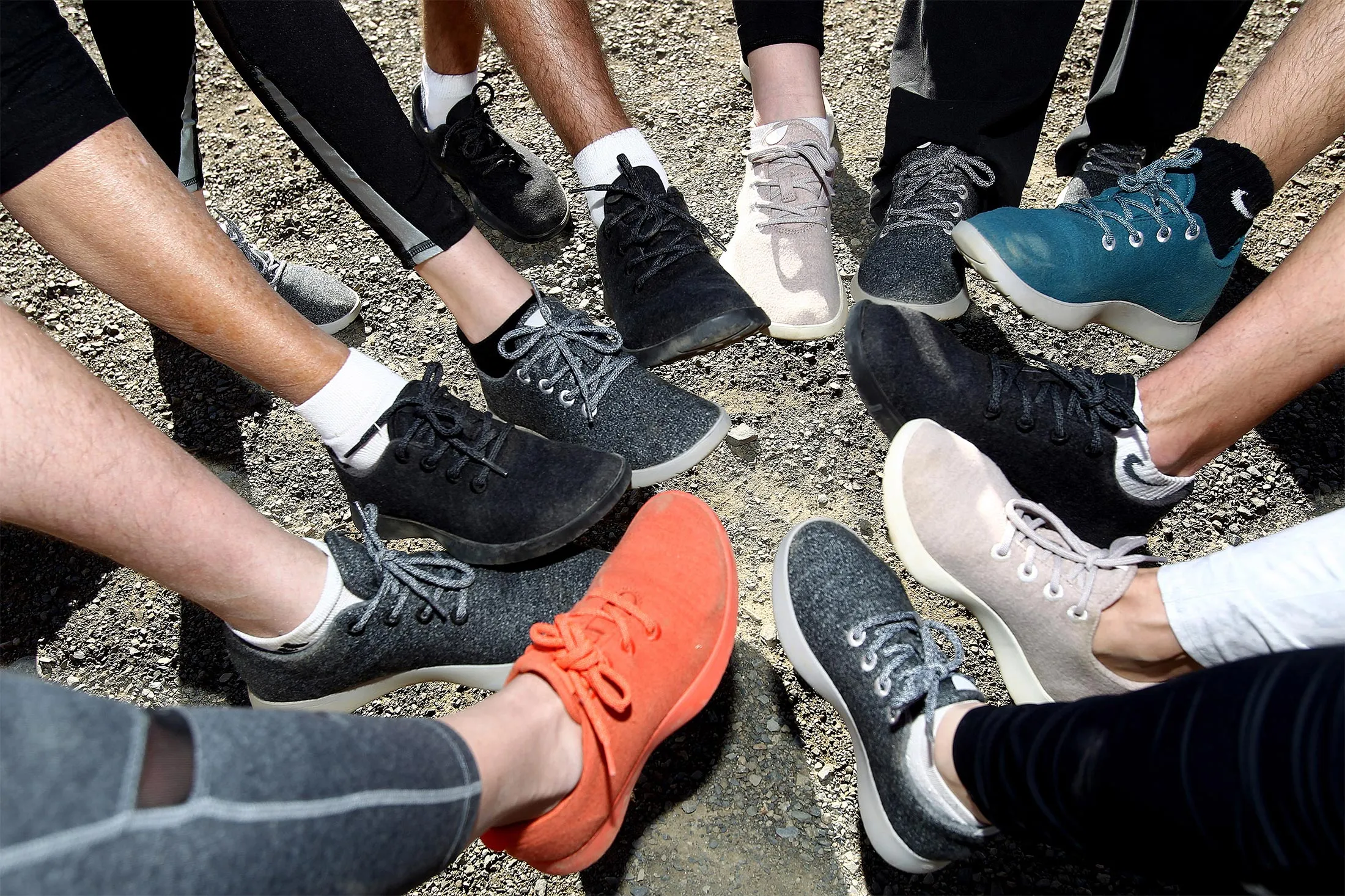 Allbirds.