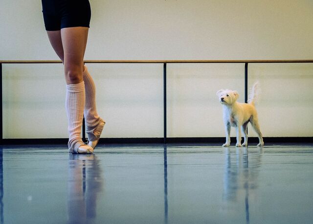 Principal dancer, Sara Mearns and her dog, Luna.