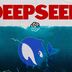 How China’s DeepSeek Came for Big AI
