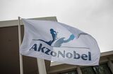 Akzo Nobel