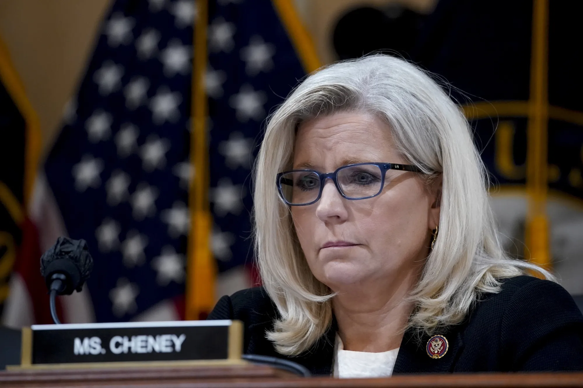 Liz Cheney&nbsp;