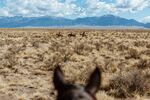 On horseback at Zapata Ranch in Colorado.