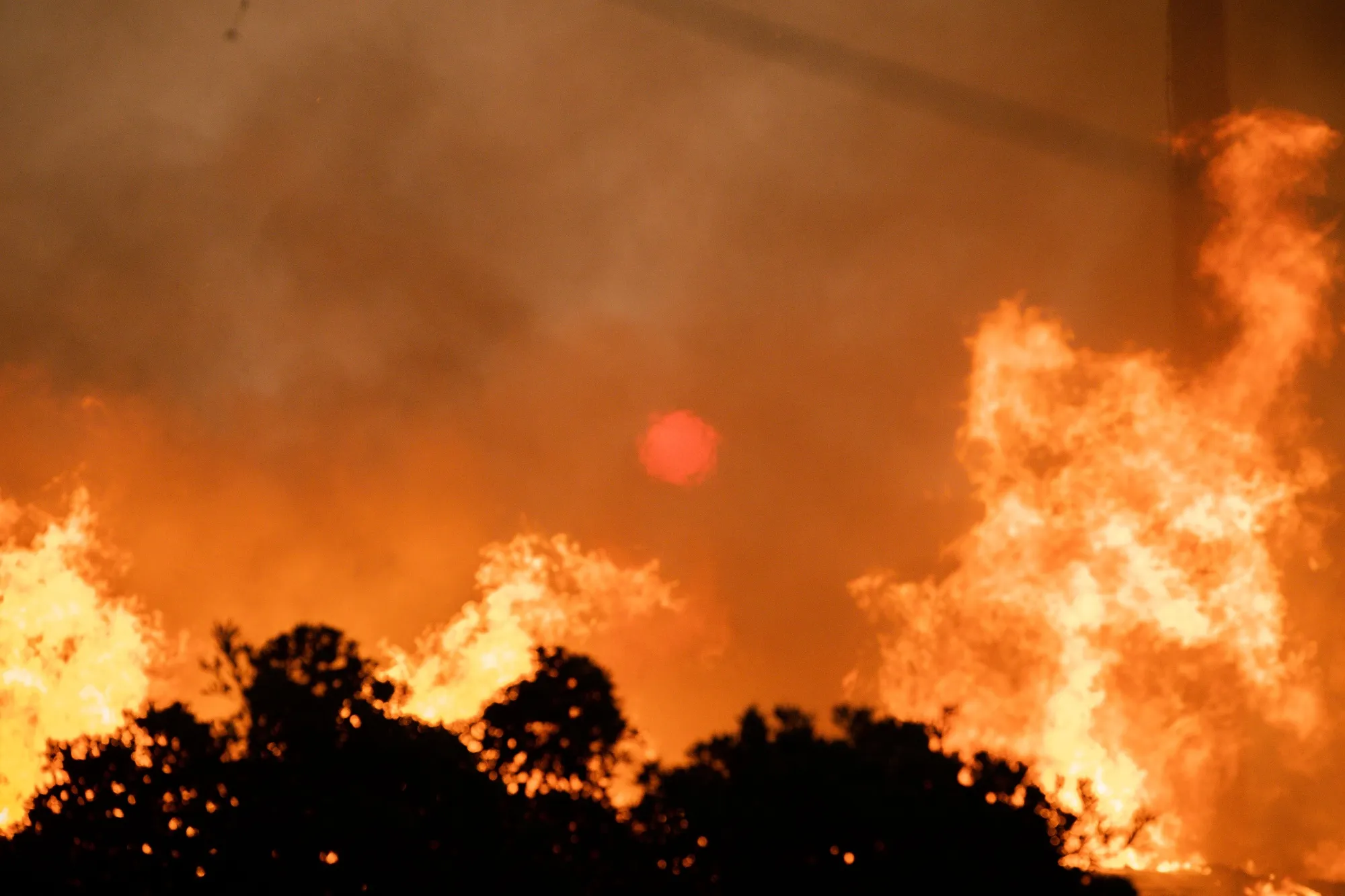 The Eaton Fire, which ravaged&nbsp;part of Los Angeles in January&nbsp;2025, was one of the most destructive wildfires in California history.&nbsp;
