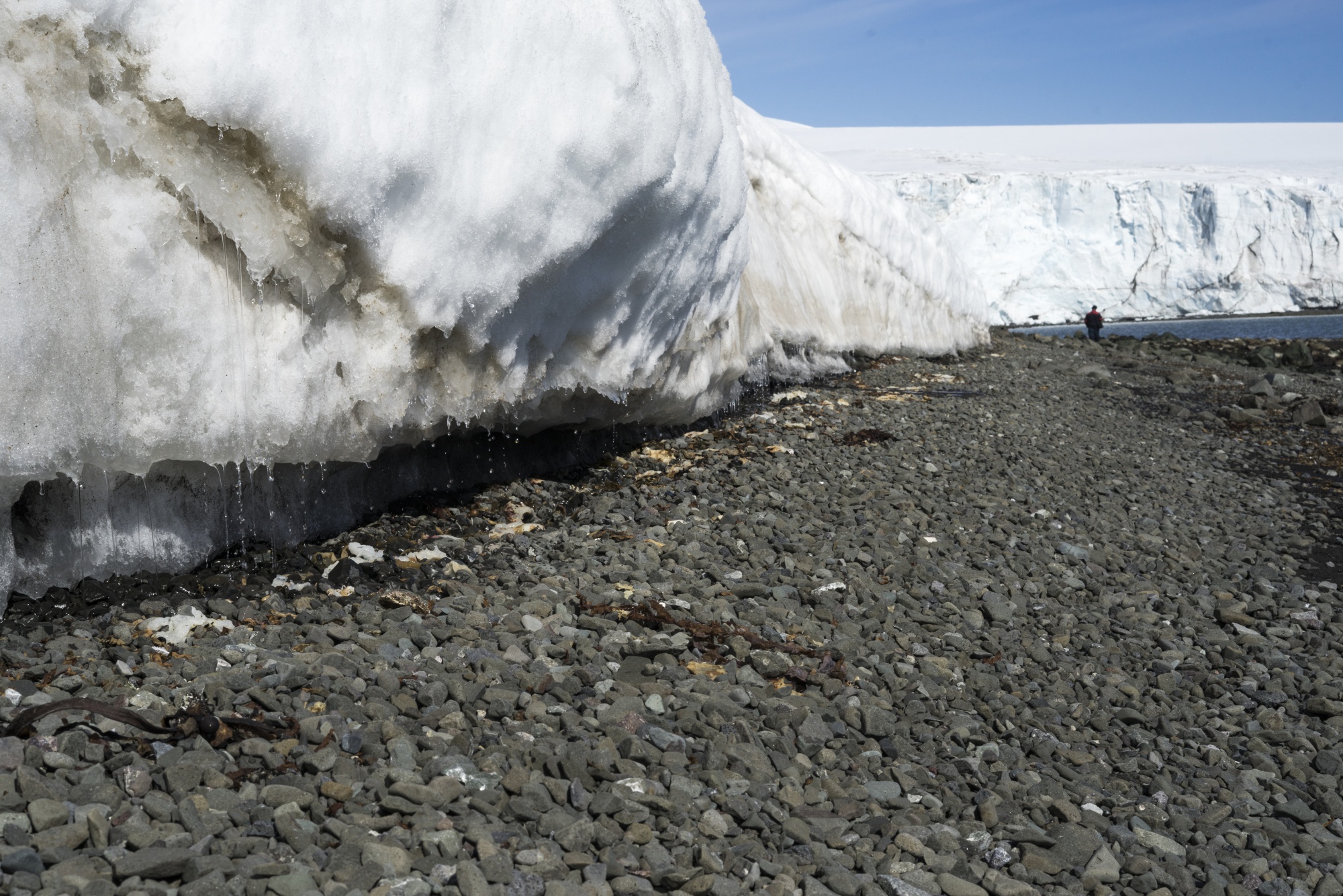The Quito Glacier is seen melting near Ecuador's Pedro Vicente Maldonado Research Station on Greenwich Island, Antarctica, on Friday, Feb. 1, 2019. Members of the 23rd Ecuadorian Antarctic Expedition arrived at the White Continent earlier this year to conduct research, develop scientific exploration and to document the environmental impacts on glaciers, flora and fauna in the region.