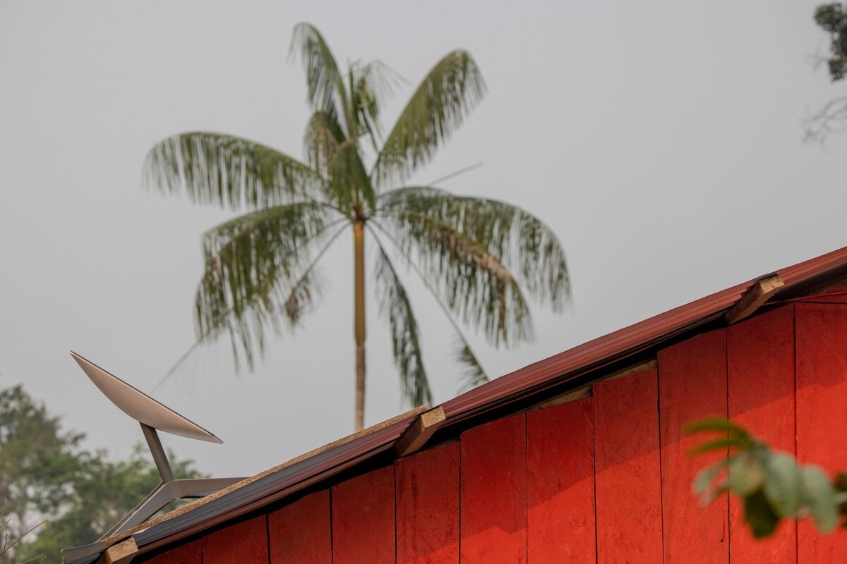 Congo Authorizes Musk’s Starlink Service to Operate in Country