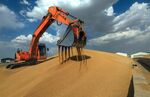 IRAQ-KURD-AGRICULTURE-HARVEST-WHEAT
