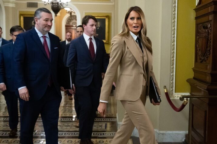 TOPSHOT-US-POLITICS-CONGRESS-TRUMP-INTERNET-PORNOGRAPHY