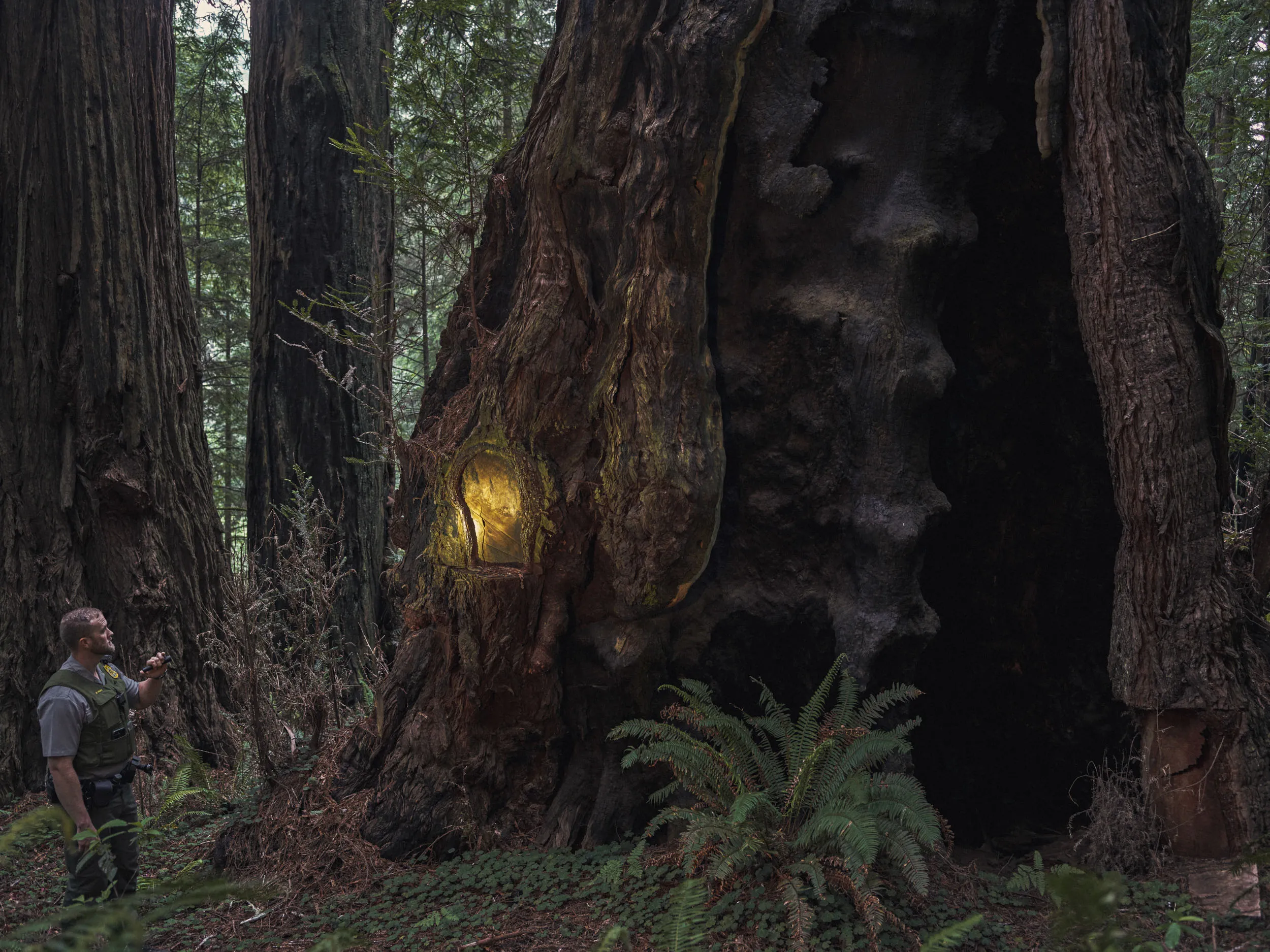 Branden Pero at a crime scene in Redwood National and State Park.