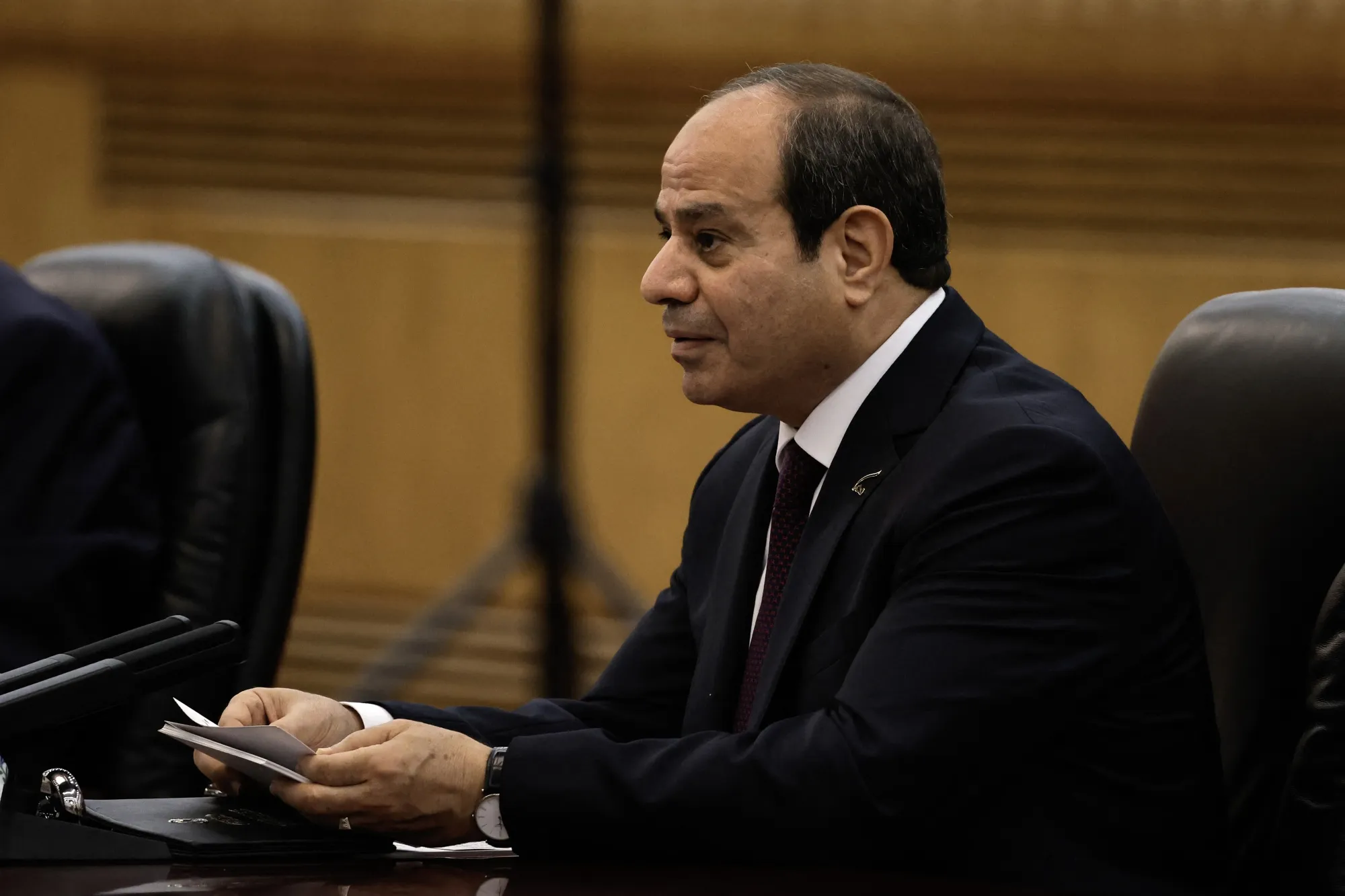 Abdel-Fattah El-Sisi&nbsp;