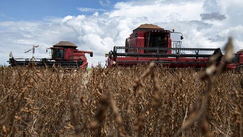 Meat Providers Rise as Weather Helps Feed Cost