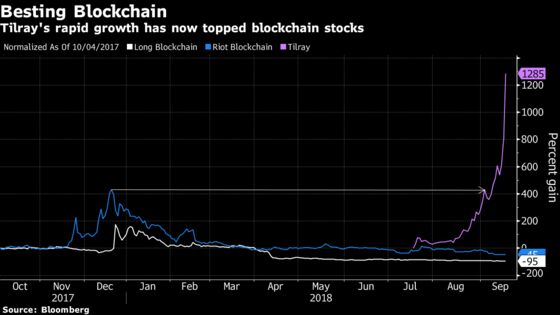 The Hype Around Pot Stocks Is Catching Up to the Crypto Craze