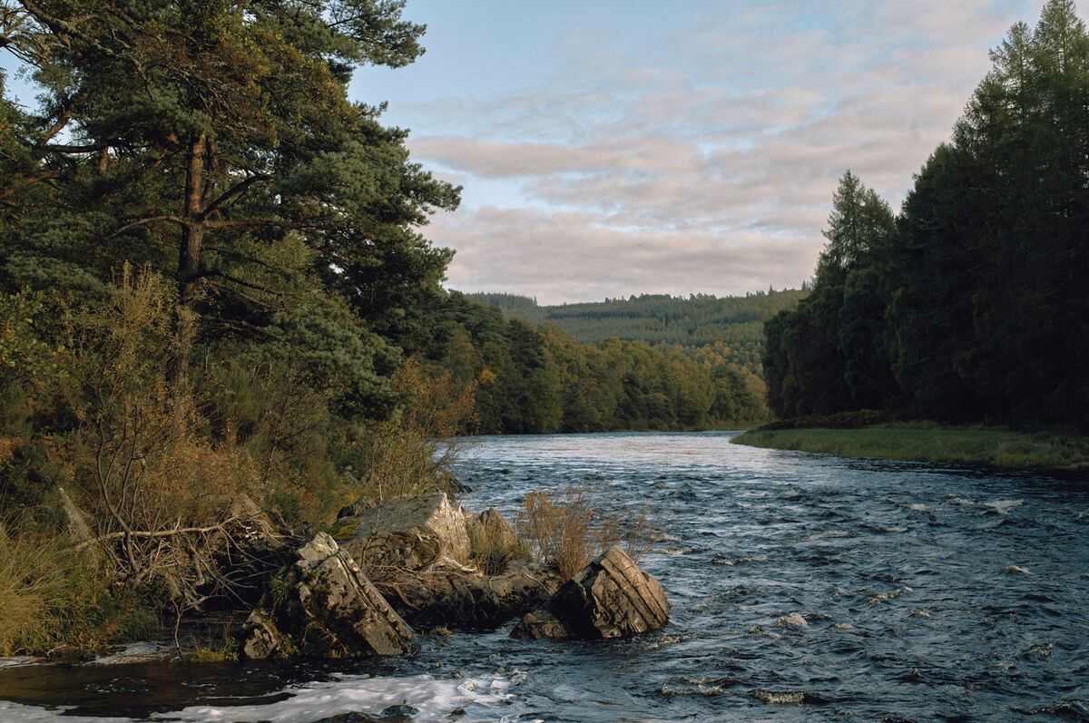 Diageo's Toxic Spill Hits Pristine River in Scottish Whisky Country