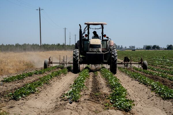 Worst Drought In Decades Escalates Threats Across U.S. West