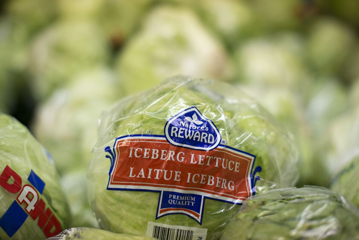 Which Lettuce Is Best? Iceberg Is Out, Romaine and Cabbage Are In - Vimarsana News