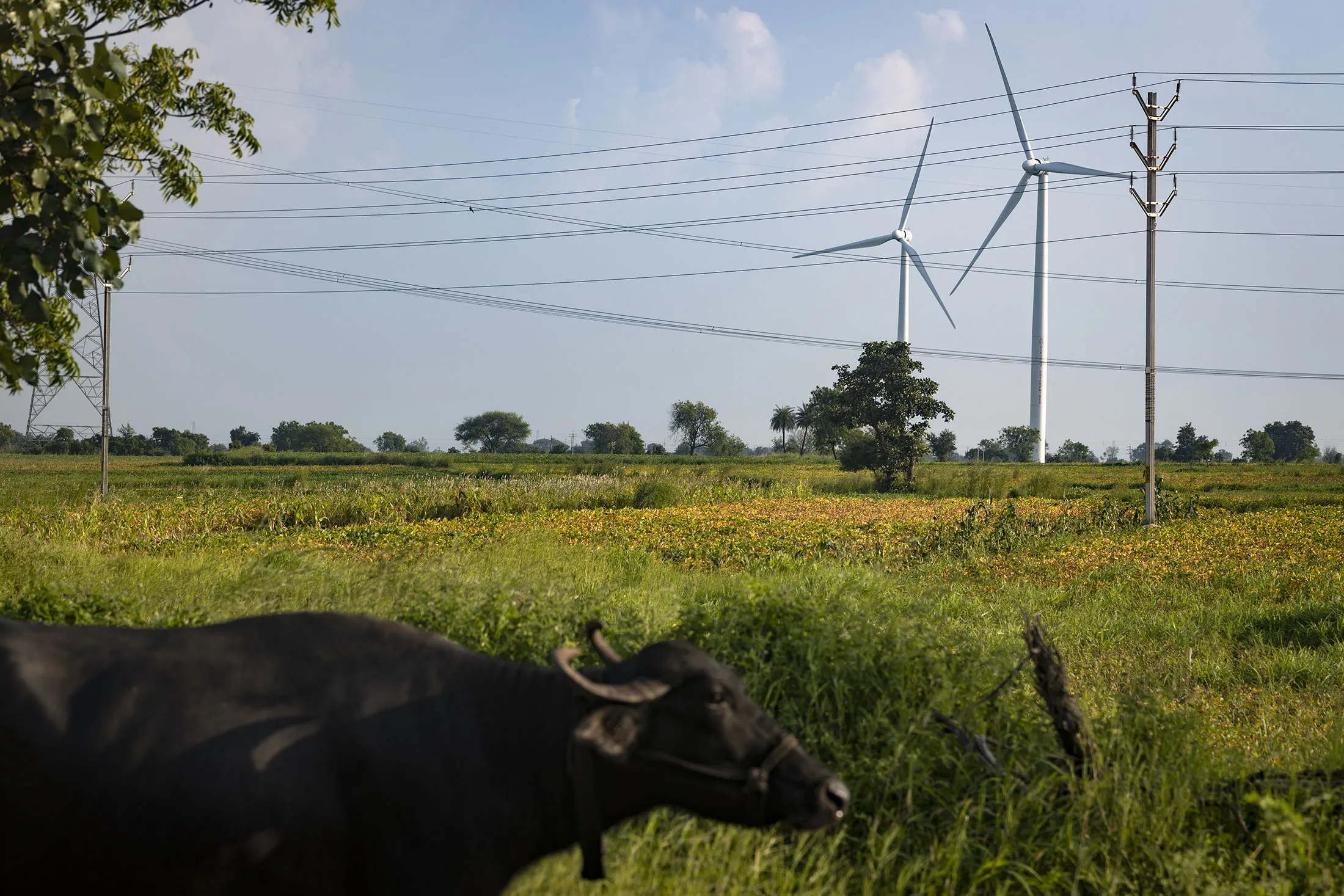 A wind farm near Tonk Khurd, India in September.