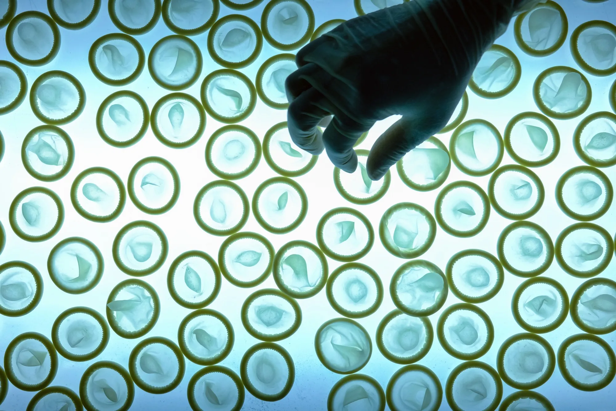 An employee sorts condoms on a light table.&nbsp;