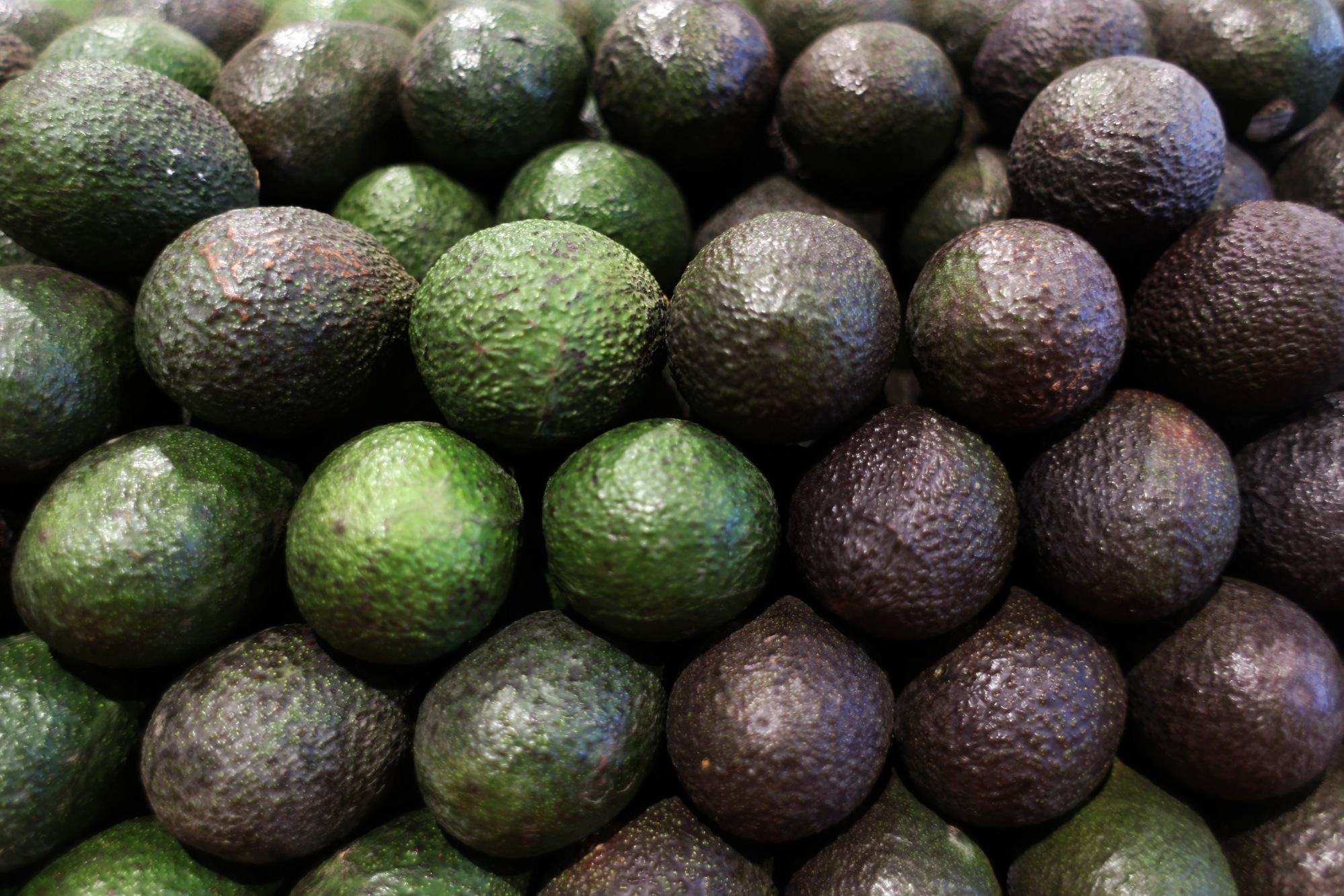 Avocados sit on display for sale during the grand opening of a Whole Foods Market Inc. location.