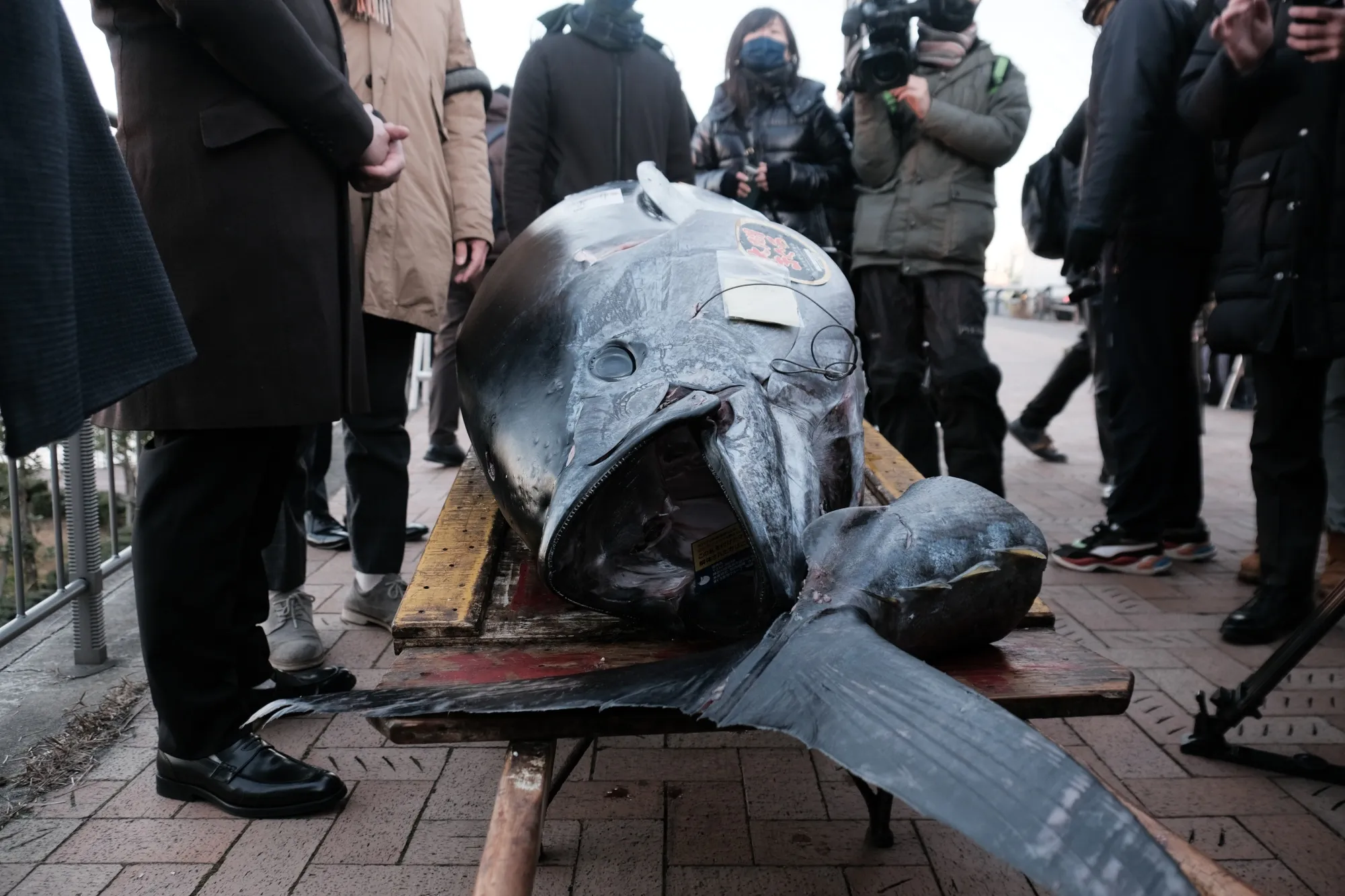 Japan’s Giant Bluefin Tuna Sold $275,000 at Tokyo’s Toyosu Fish Market