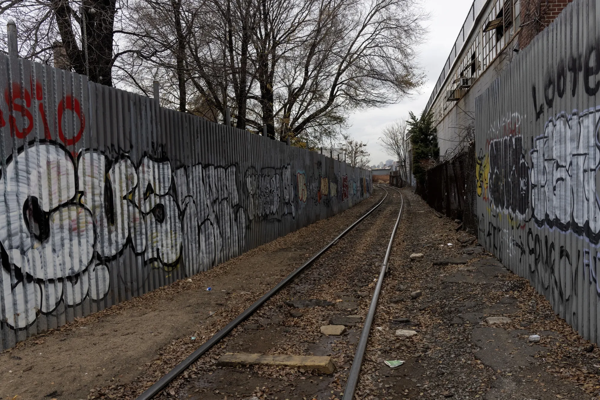 The proposed Interborough Express project aims to convert underutilized freight tracks —&nbsp;seen here in the Maspeth neighborhood of Queens —&nbsp;into a line for modern light rail trains.&nbsp;