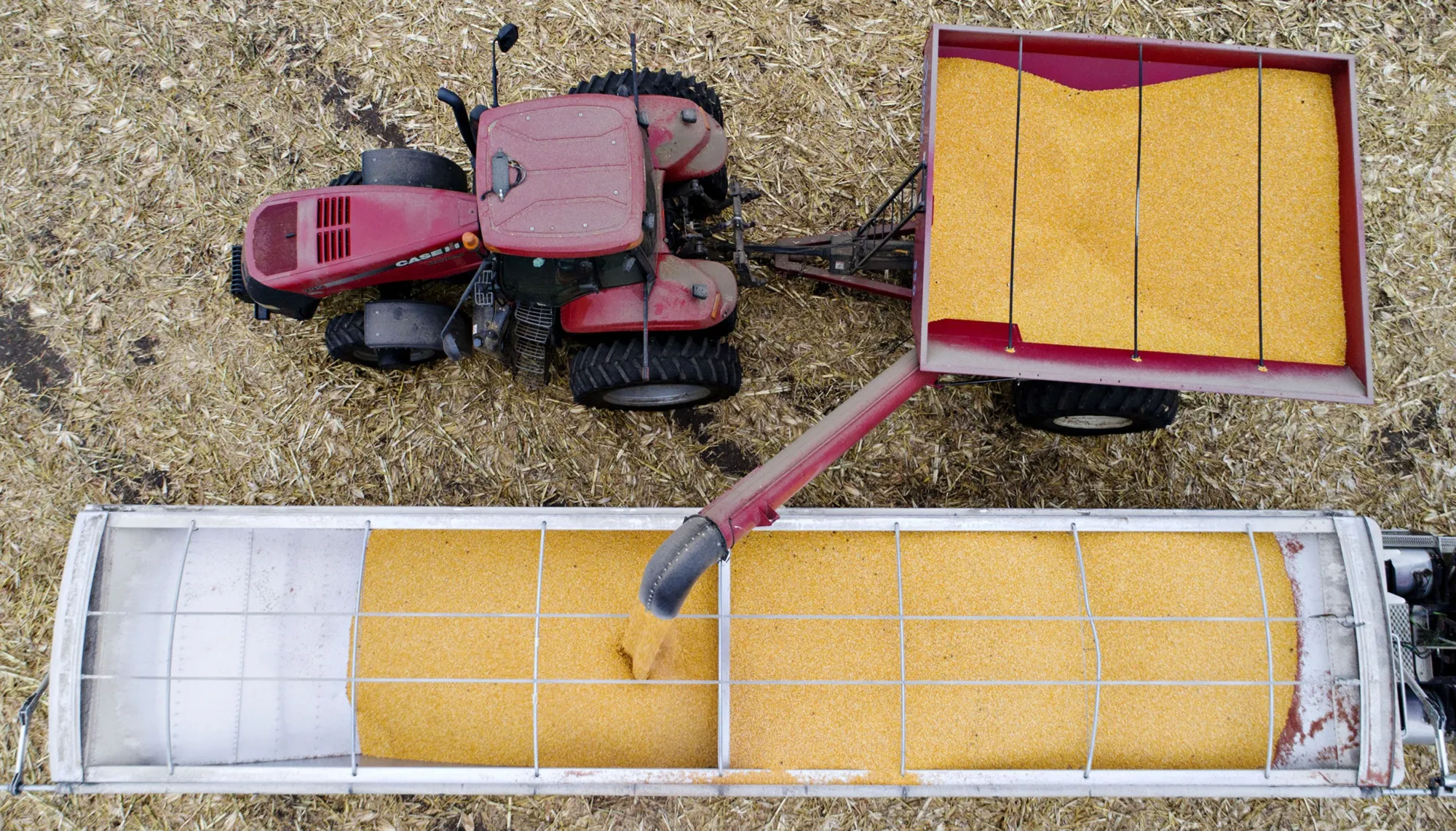 Operations During Corn And Soybean Harvests As New Nafta Secures Some Exports