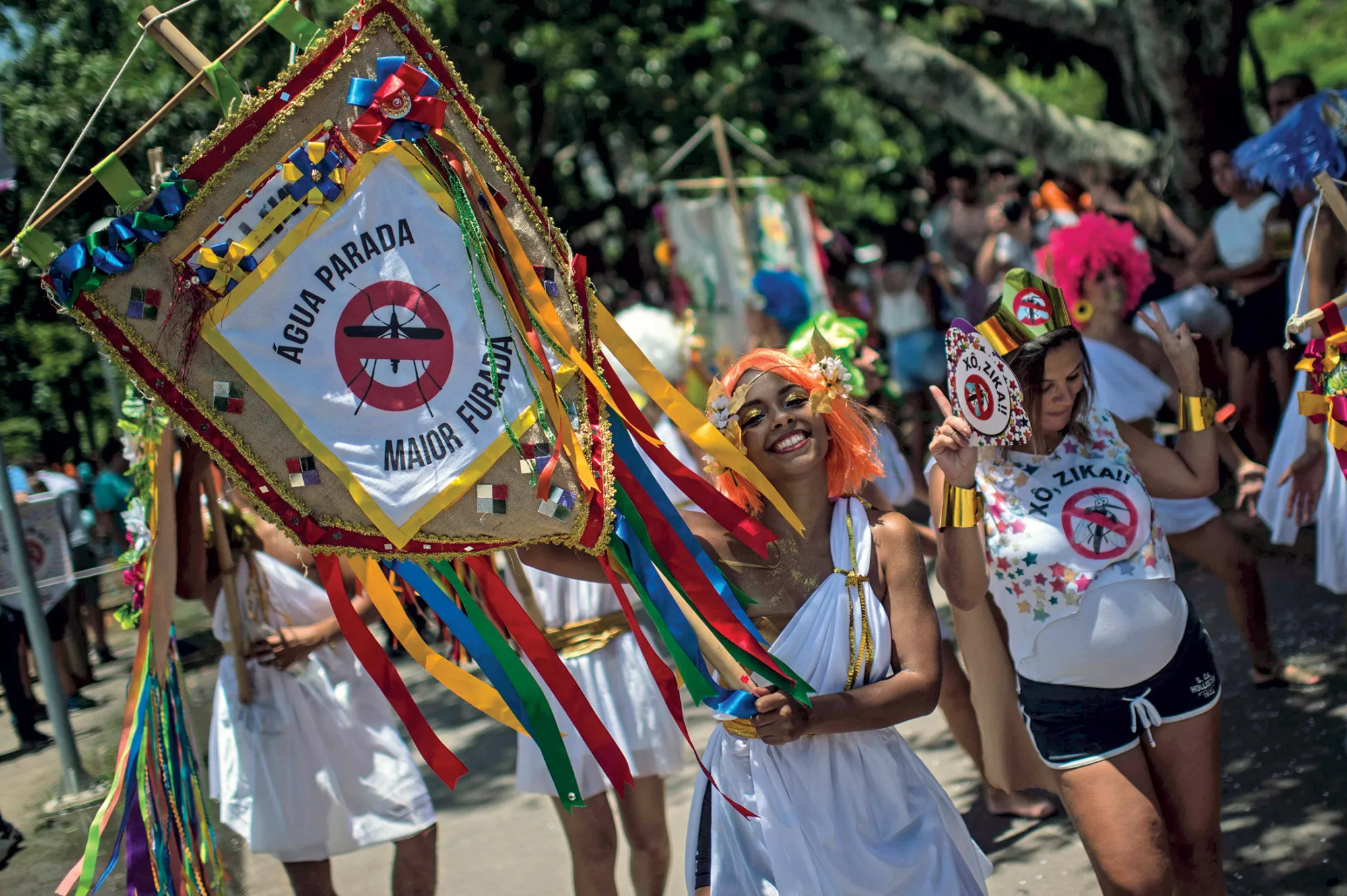 The Zika outbreak is centered in Brazil’s northeast. Despite a recession, the nation plans to spend $257 million on mosquito control this year. Pictured, Carnival revelers in Rio de Janeiro call for preventive measures.
