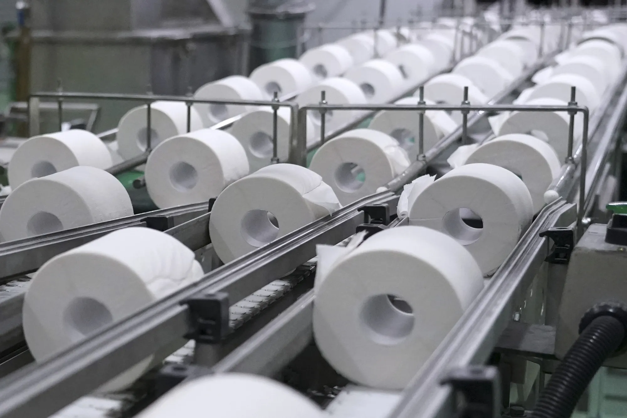 Toilet Rolls On A Conveyor