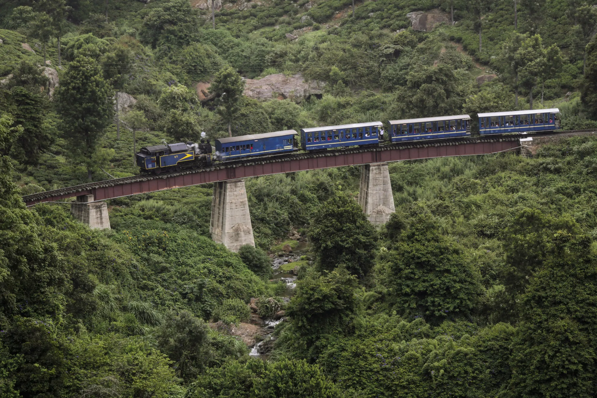 A steam train travels along a viaduct through a tea estate in Coonoor, Tamil Nadu, India.