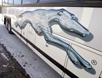 relates to Greyhound Bus Operator Attracts Private Equity Interest