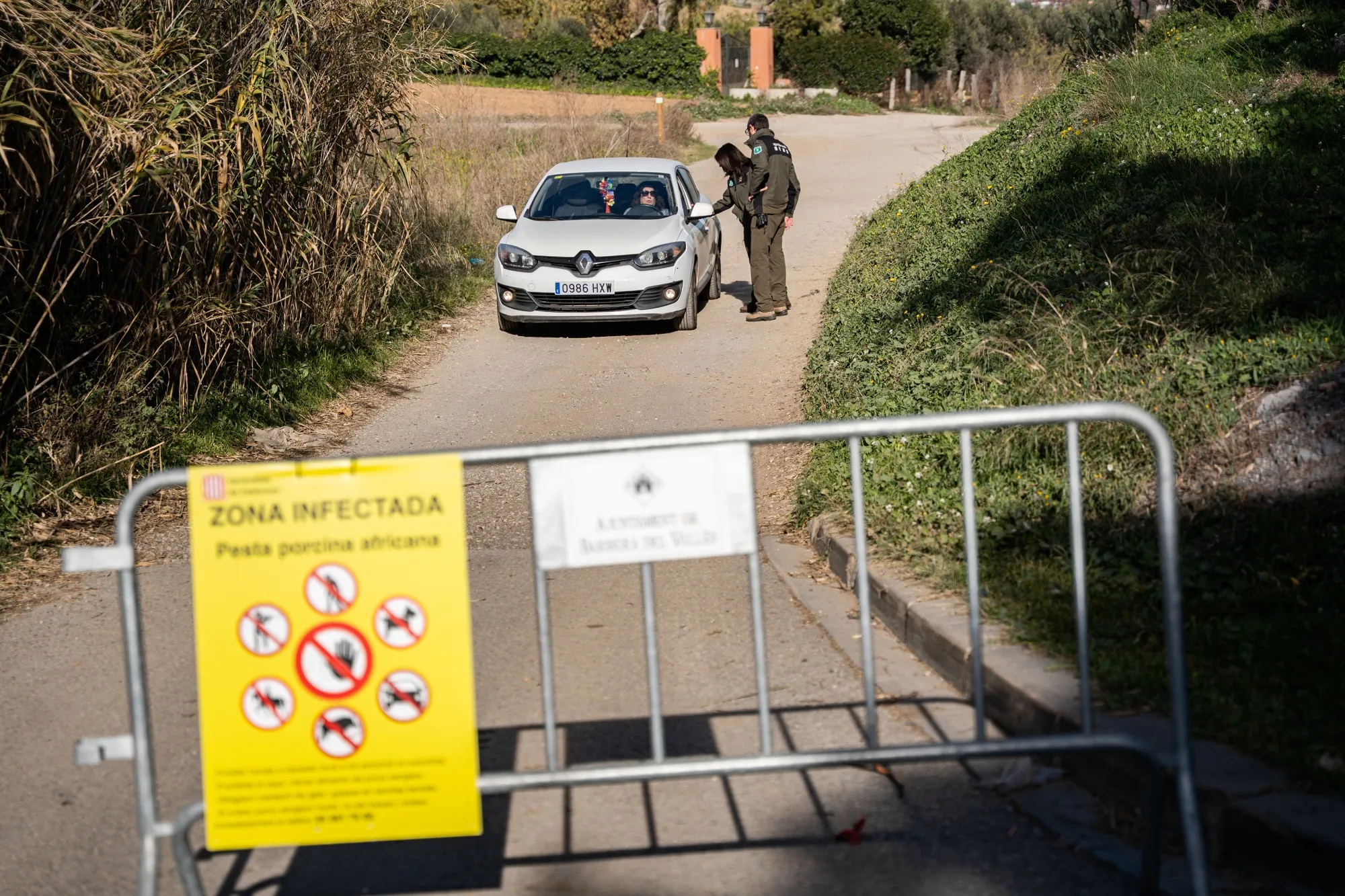 Rural agents mark off a road with tape and signs due to African swine fever in Barbera del Valles, Spain, on Dec. 5.