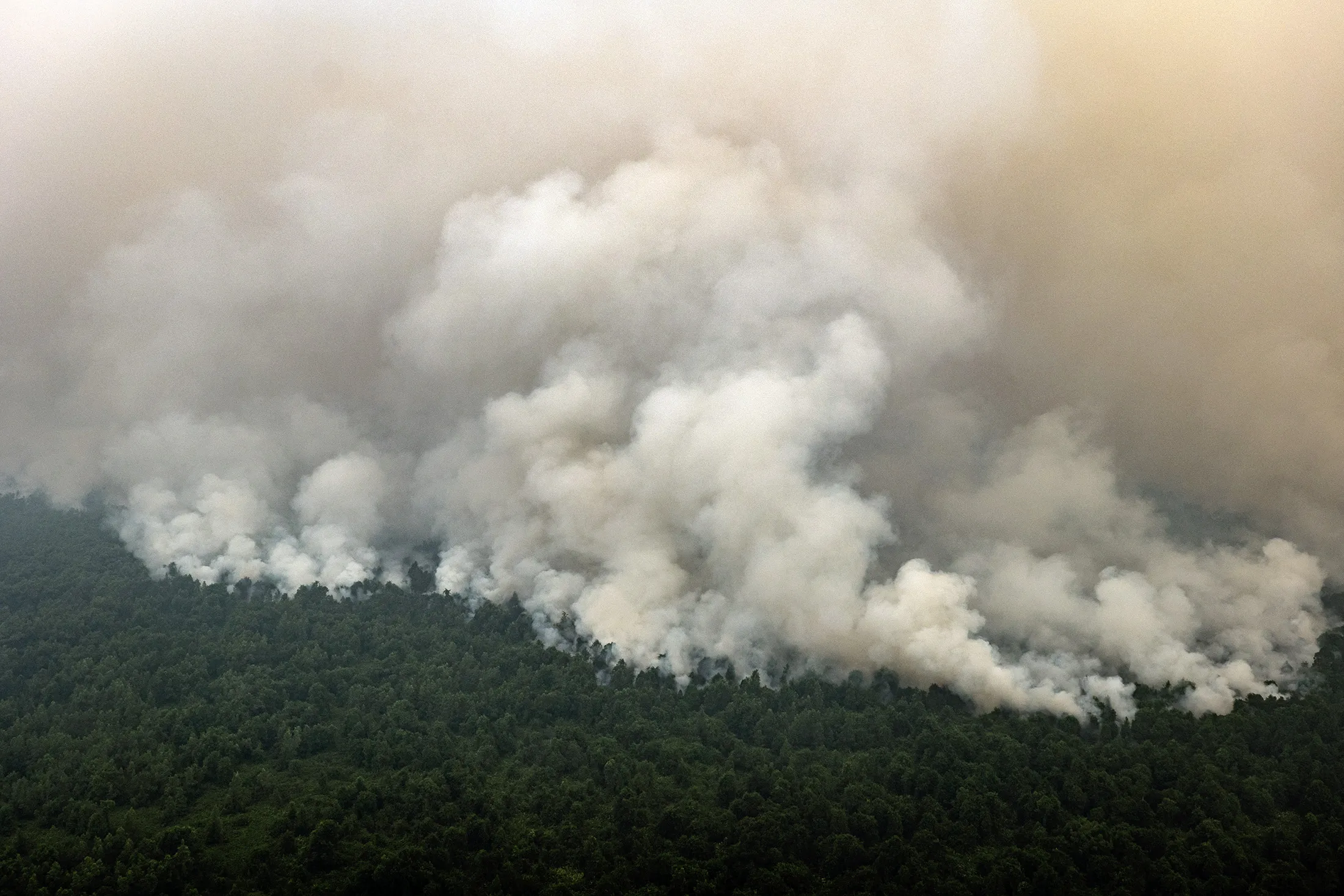 Peatland and forest fires in Central Kalimantan on Sept. 14.