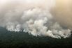 Forest Fires Rages In Indonesia