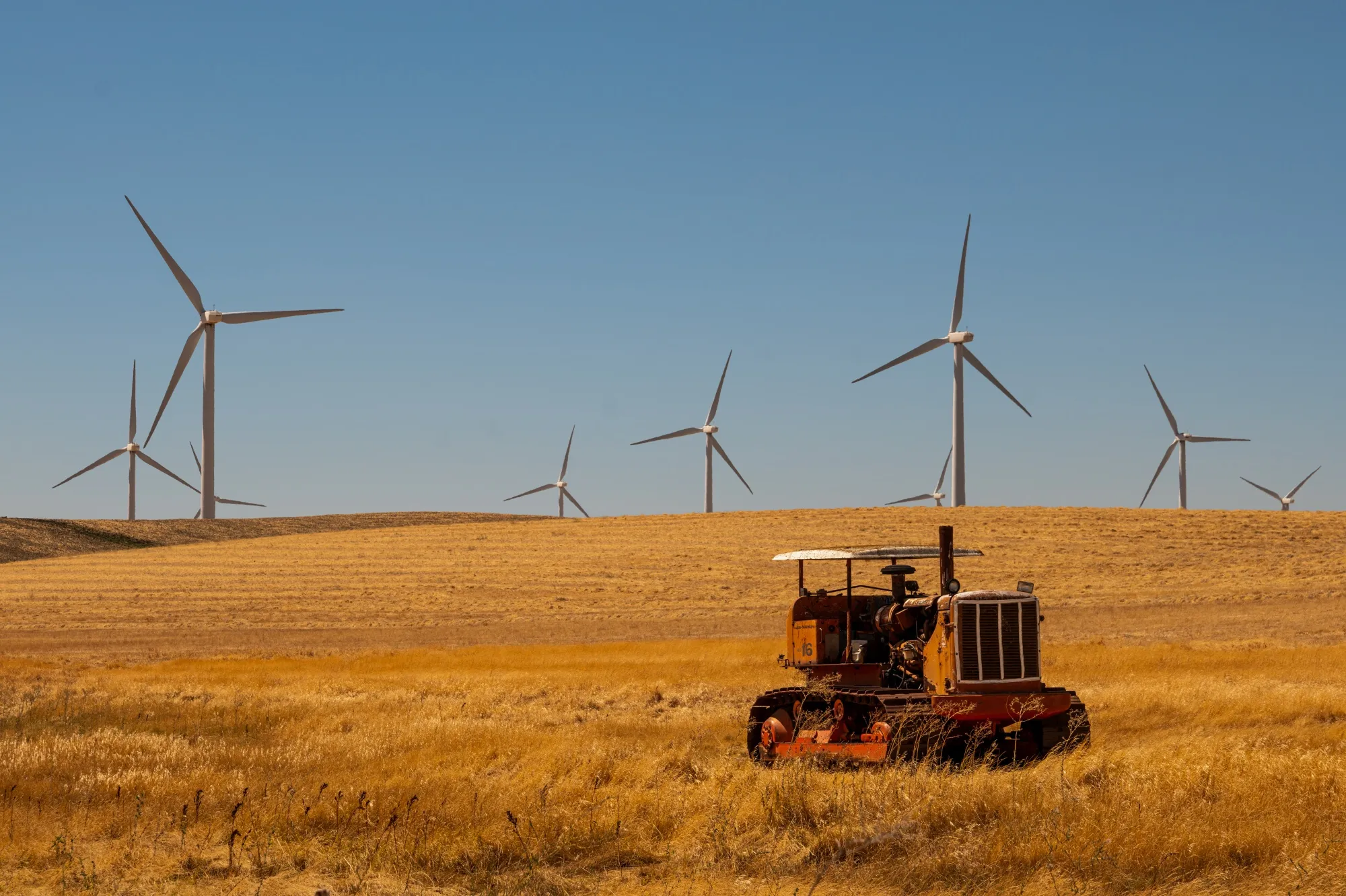A wind farm in Rio Vista, California.