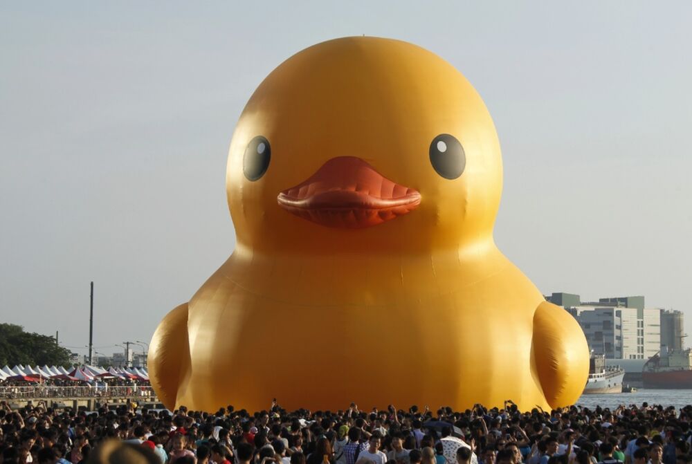 tolo bath duck