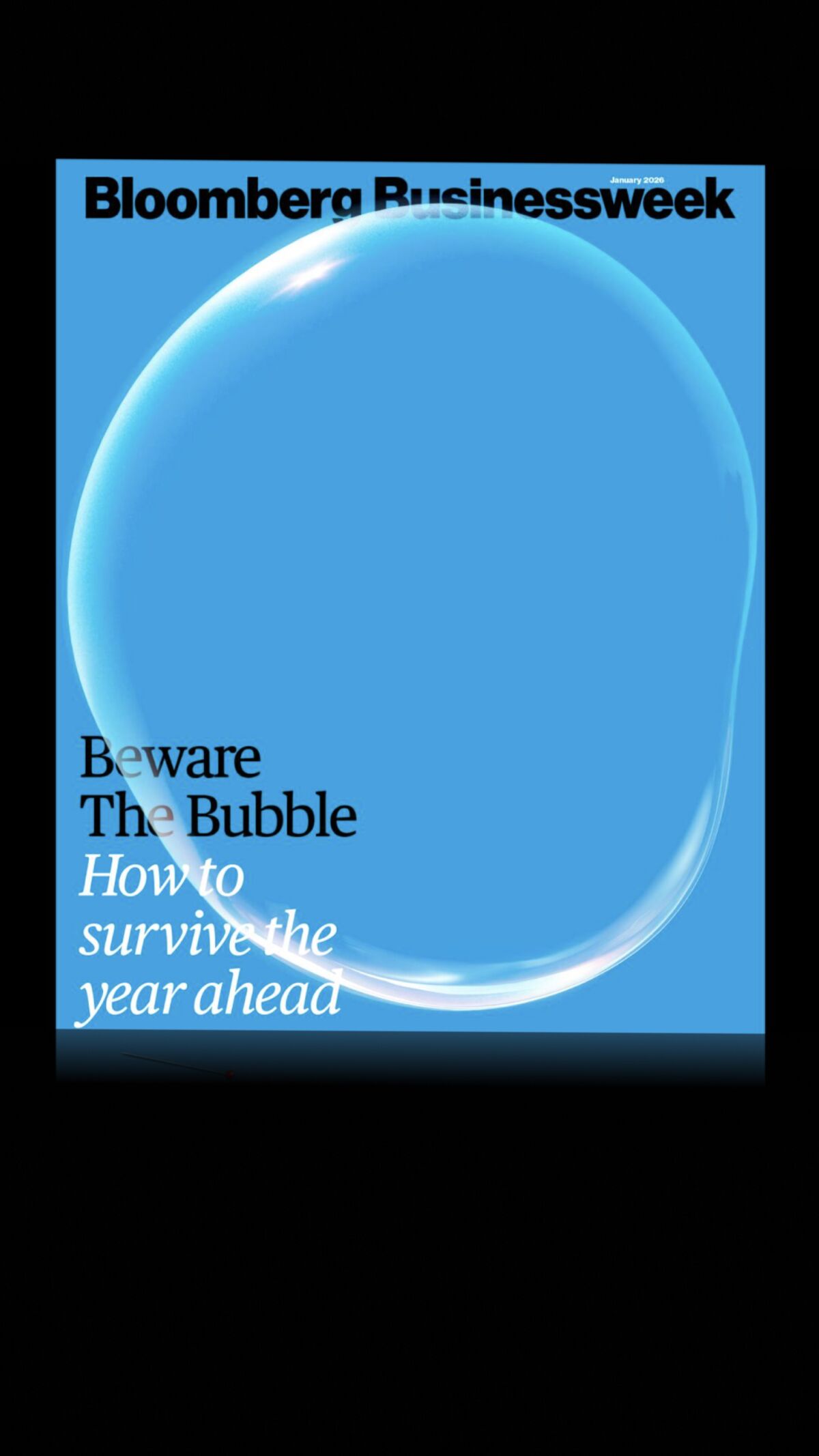 A Year of Reckoning for an Age of Bubble