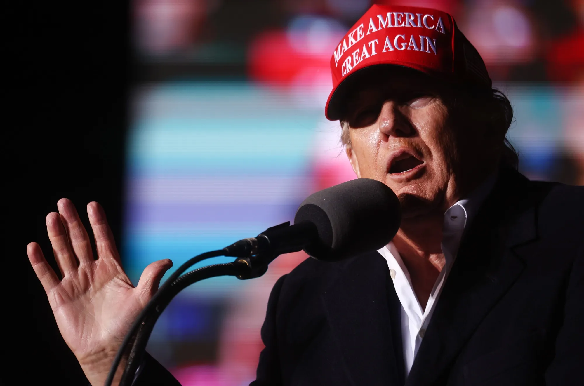 Trump? Or the Constitution?