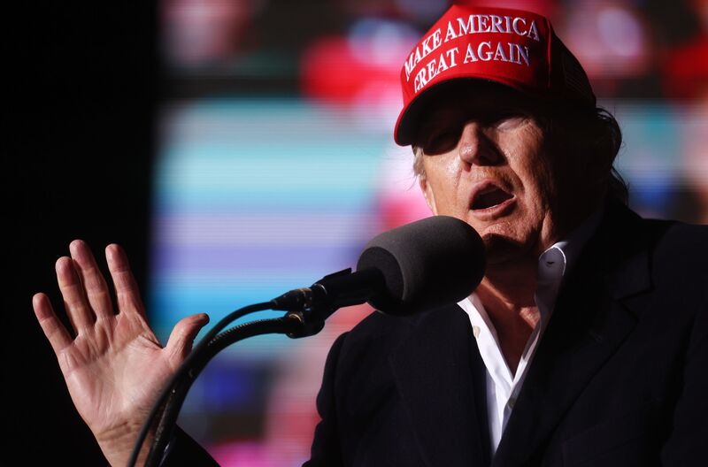 Trump? Or the Constitution?