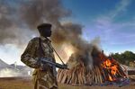 A KWS security officer stands near a burning pile of 15 tonnes of elephant ivory seized in Kenya at Nairobi National Park on March 3, 2015.
