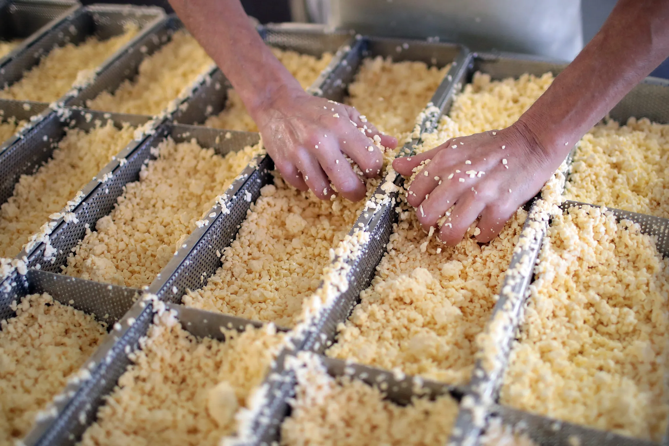 Wisconsin cheese manufacture.