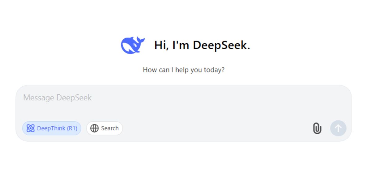 I’m a DeepSeek AI Bro Now
