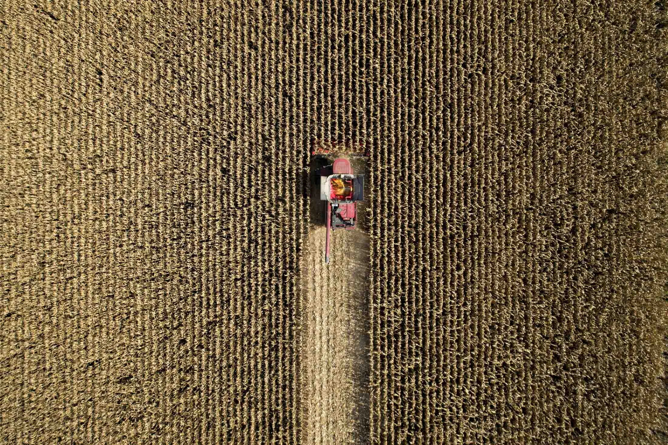 1513720141_017_GettyImages-859778284