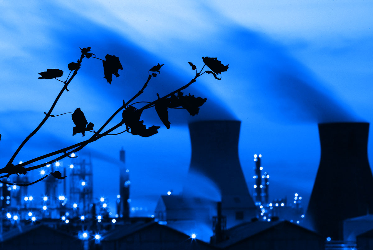 BP oil refinery complex in Scotland in the background and tree branch with withered leaves in the foreground.