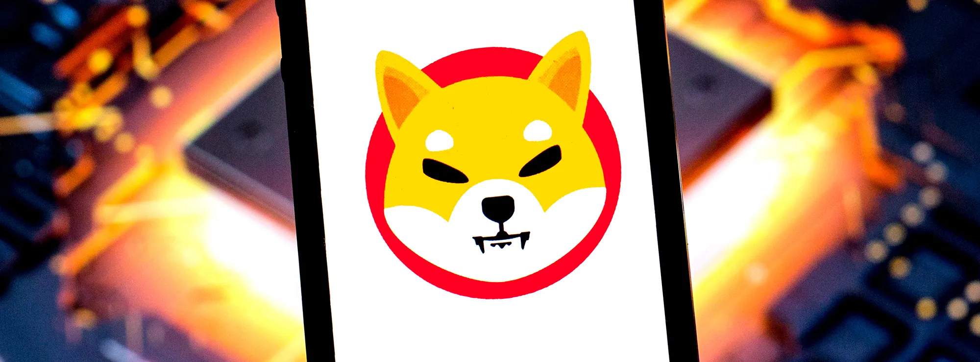 シバイヌ」が２倍に値上がり、投資家がロビンフッドでの売買待望 - Bloomberg