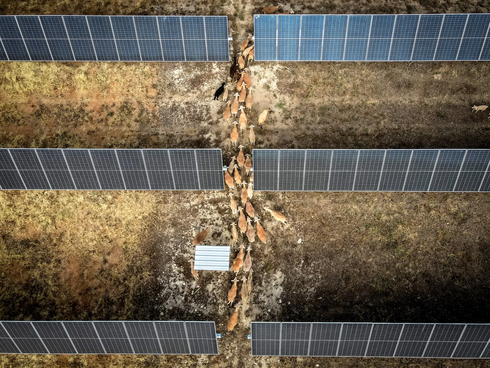 The Las Rozas solar park near Seville, Spain.