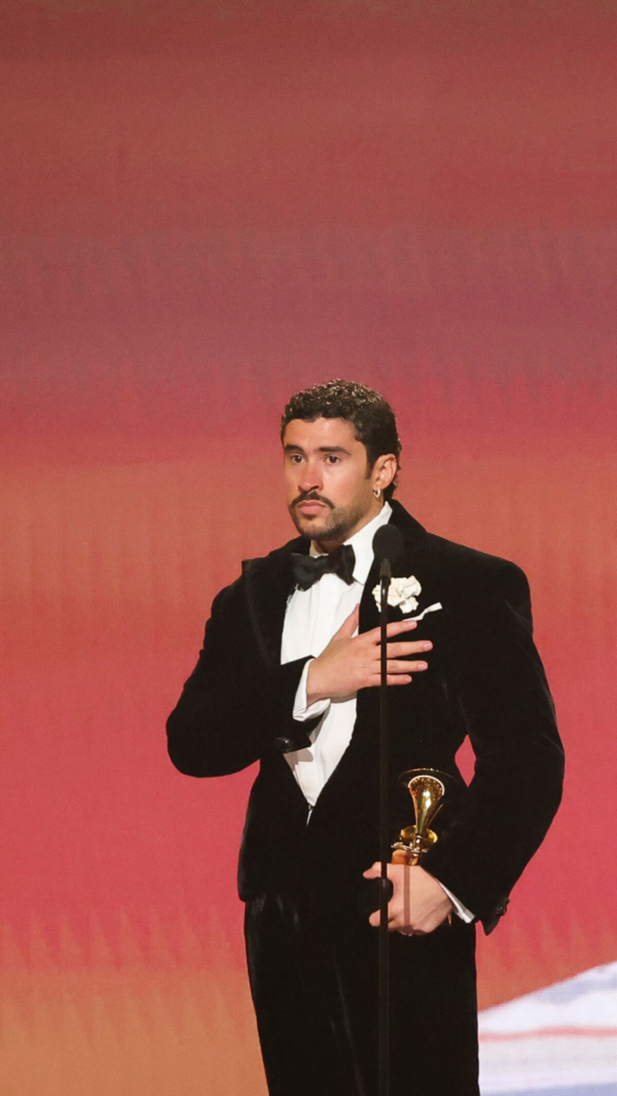 The Entertainment Industry's Trump Divide