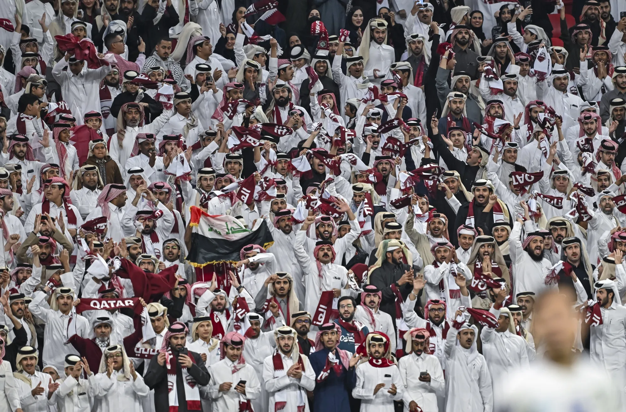 Fans cheer during an AFC Asian Cup match at Al Bayt Stadium in Al Khor, Qatar, on Feb. 3.