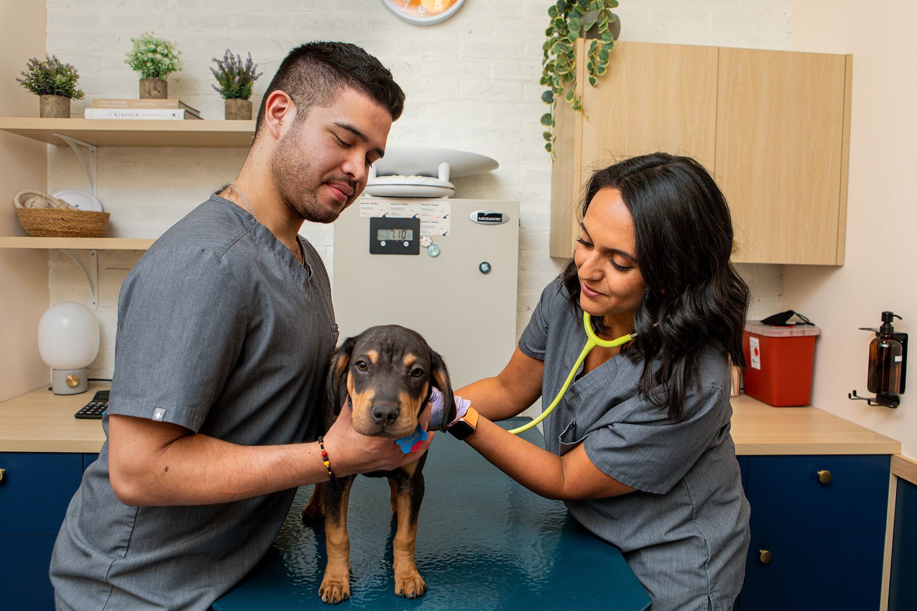 Bond Vet Raises 50 Million for Growth from Warburg, Talisman Bloomberg