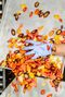 feat_munchery03__06