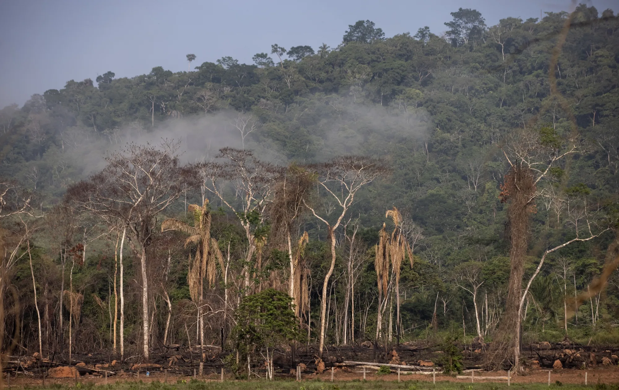 Deforestation in an environmentally protected area near Sao Felix do Xingu, Para state, Brazil, in 2021.&nbsp;
